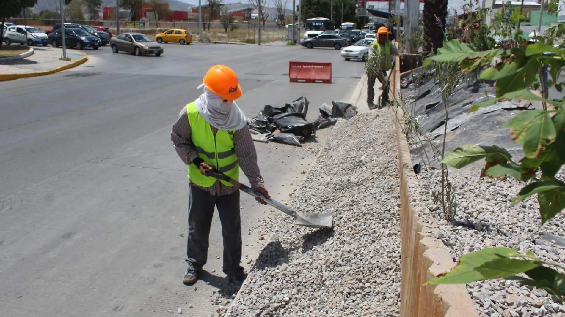 19 Cemex Concretos dará mantenimiento a jardines del bulevar Revolución3